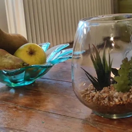 Rustige In Zuid-limburg *